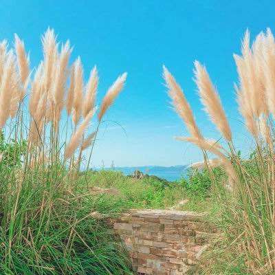 pg电子娱乐·(中国)游戏平台截图