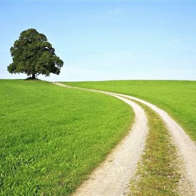 2023澳门管家婆资料正版大全手机app下载