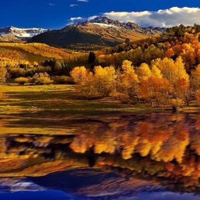 足球游戏手机app下载