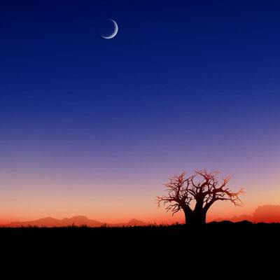 AOA体育登录入口下载手机版