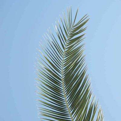 金年会app官方下载