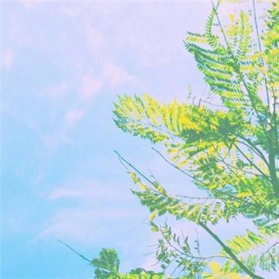 皇家88下载手机版截图