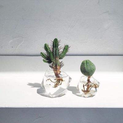 BB贝博平台登录app手机app下载